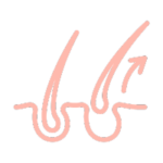 Lösung-haar-icon
