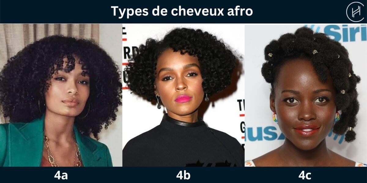Types de cheveux afro