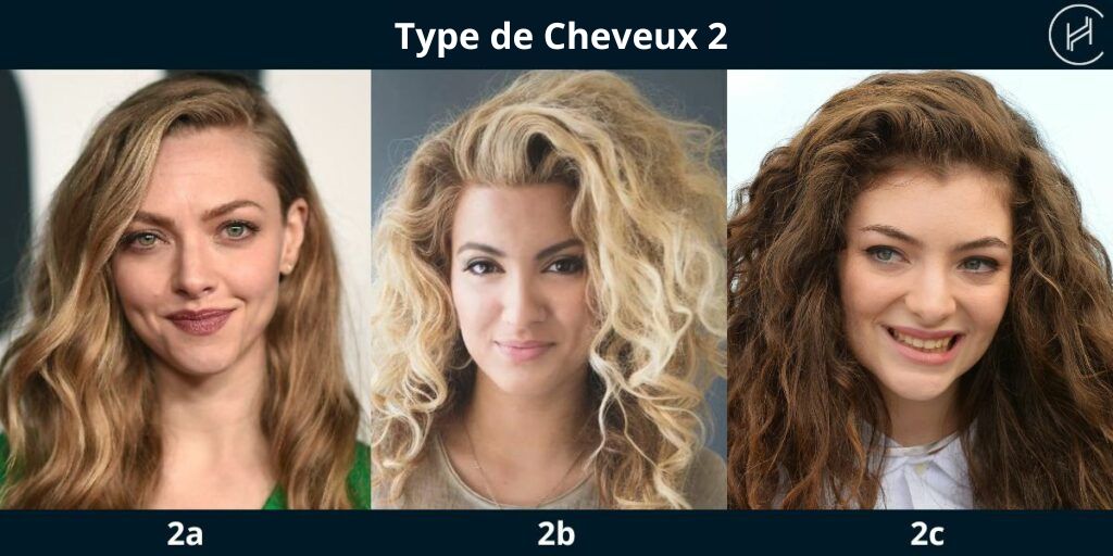 2a 2b 2c types de cheveux exemples