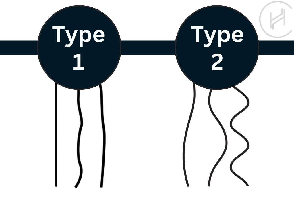 différences entre les cheveux de type 1 et de type 2