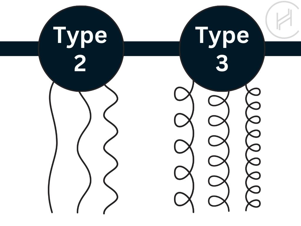 différences-entre-les-cheveux-de-type-2-et-de-type-3