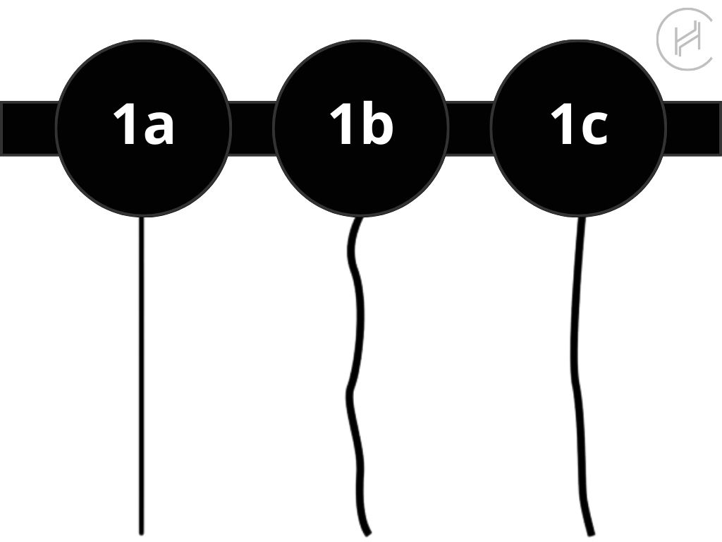 types de cheveux 1 1a 1b 1c chart