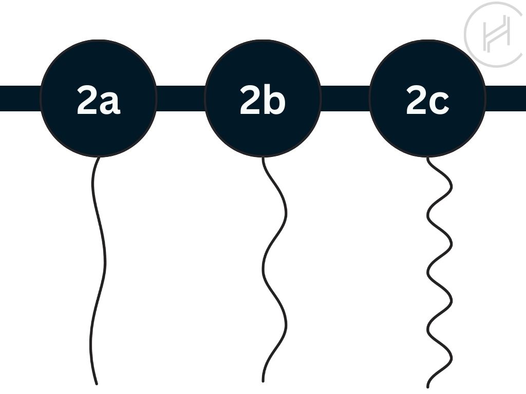 types-de-cheveux-2-2a-2b-2c-chart