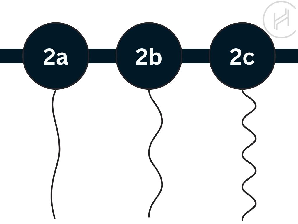 Les cheveux de type 2 (2A, 2B, 2C) : tout savoir sur les cheveux ondulés