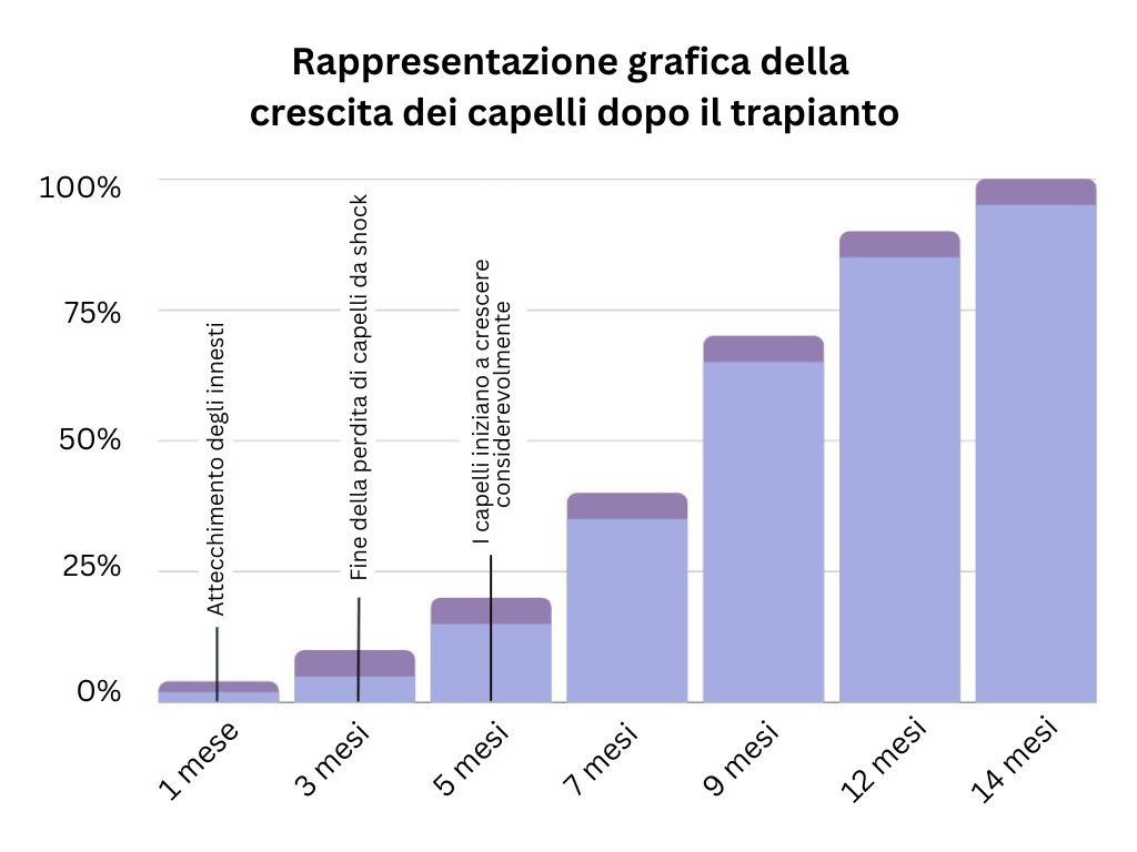 Grafico della crescita dei capelli dopo il trapianto