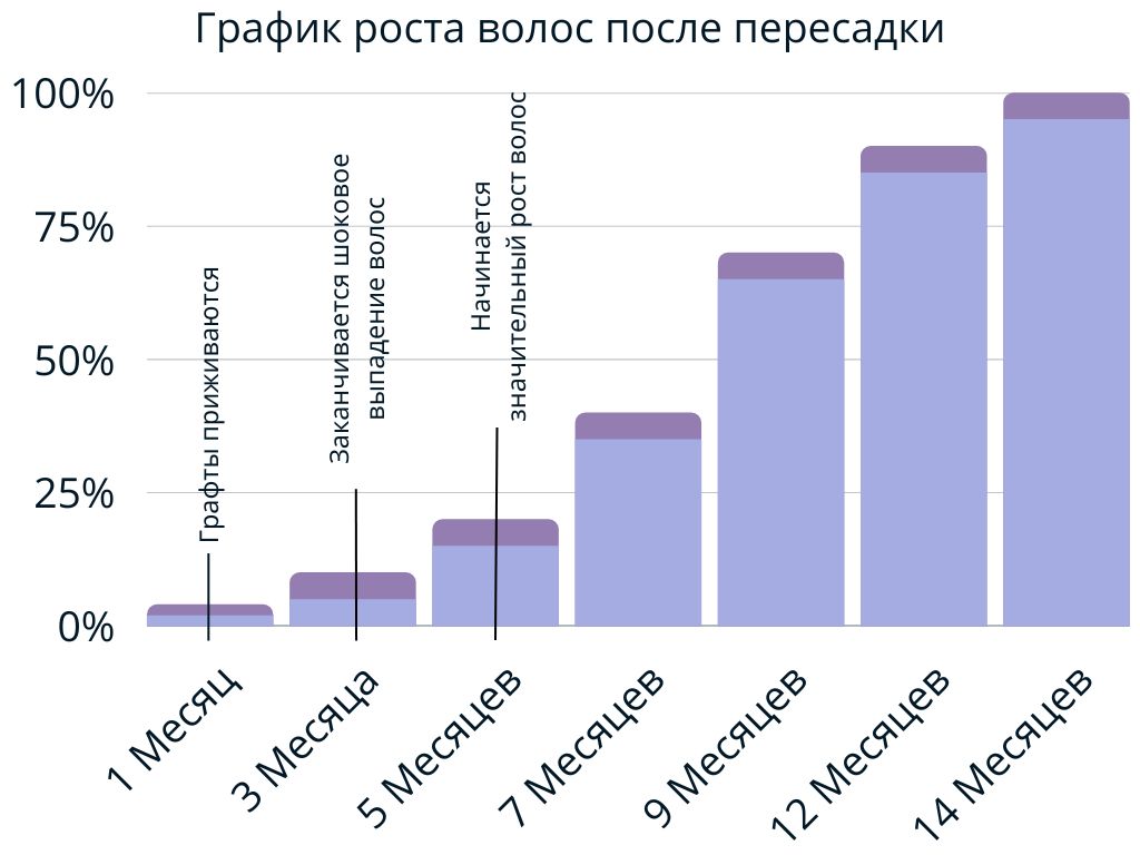 График роста волос после пересадки