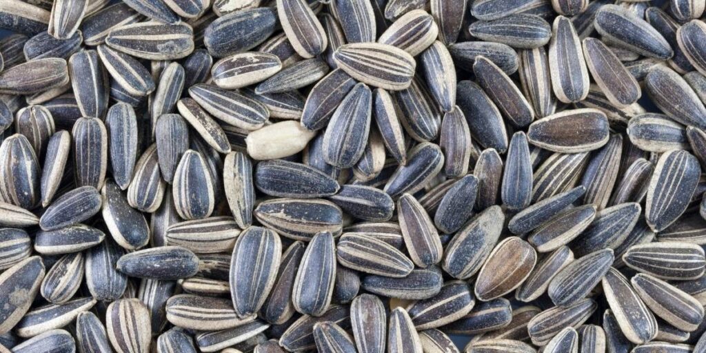 vitamin e sunflower seeds and hair health