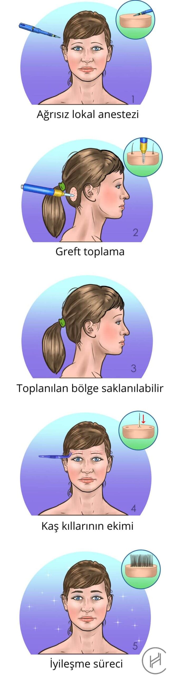 kaş ekimi süreci adımları
