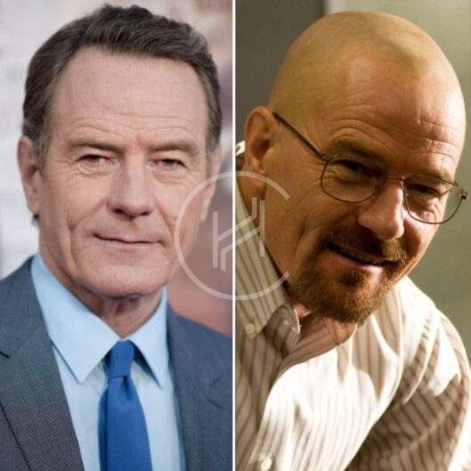 Shaved head before and after Bryan Cranston