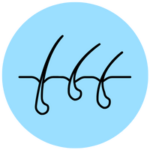 thinning-hair-logo thinning-hair-icon