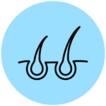 hair follicle limitation blue icon