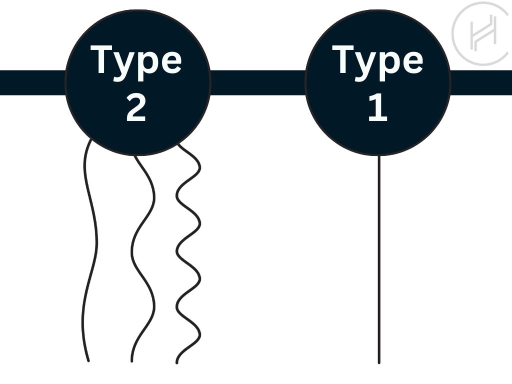 differences between type 2 and type 1 hair