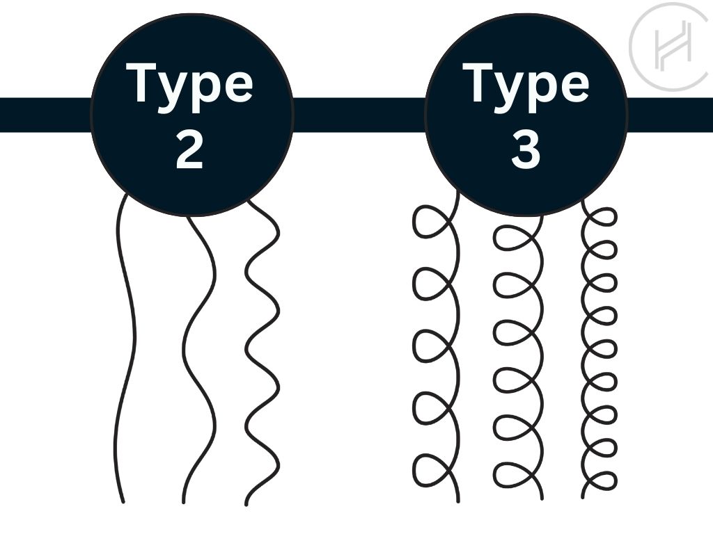 differences between type 2 and type 3 hair
