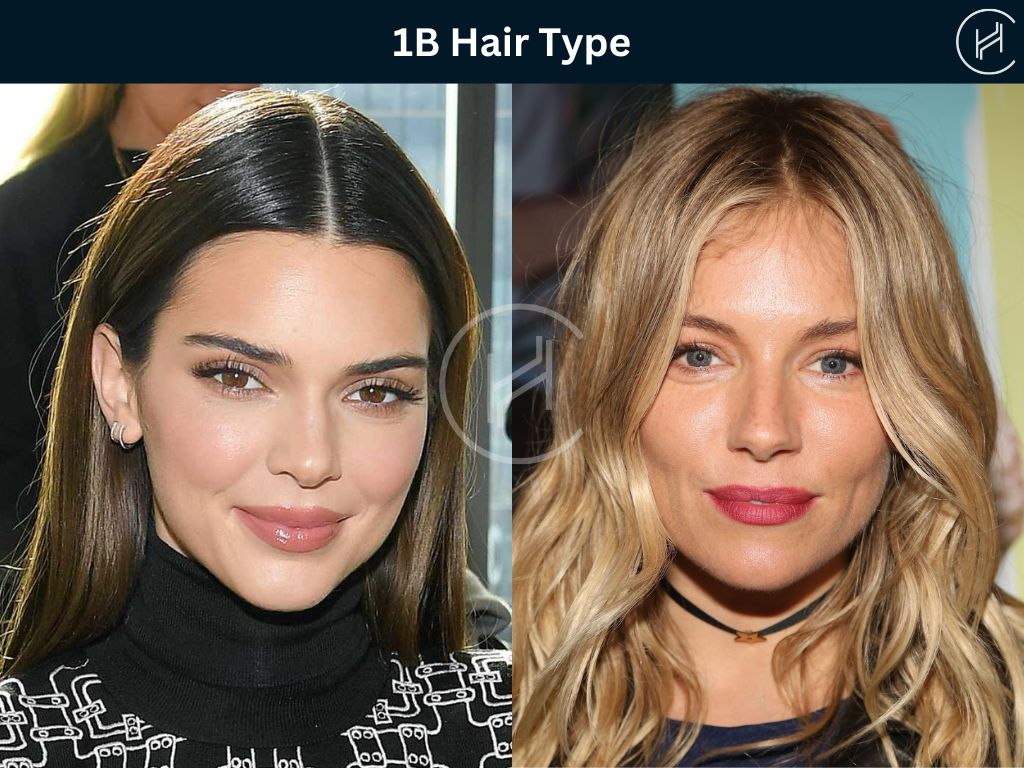 1b hair type examples