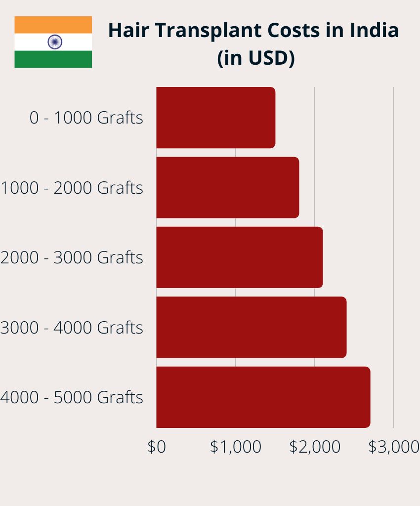 Hair Transplant Costs in India (in USD)