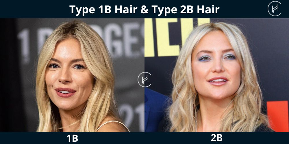 Type 1B Hair and Type 2B Hair