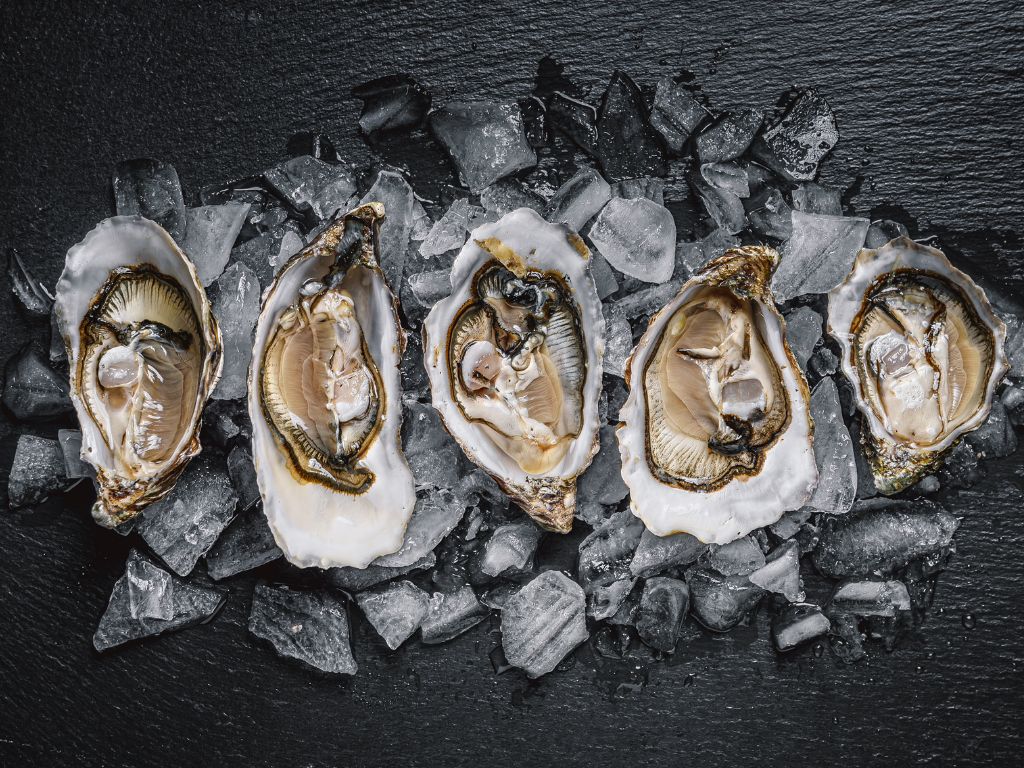 oysters and zinc oysters and zinc