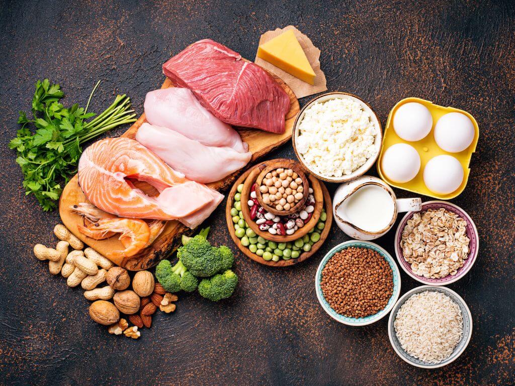 protein meal protein meal