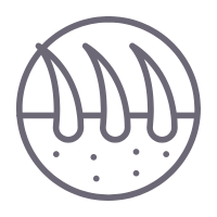 graft-gray-icon graft-gray-icon